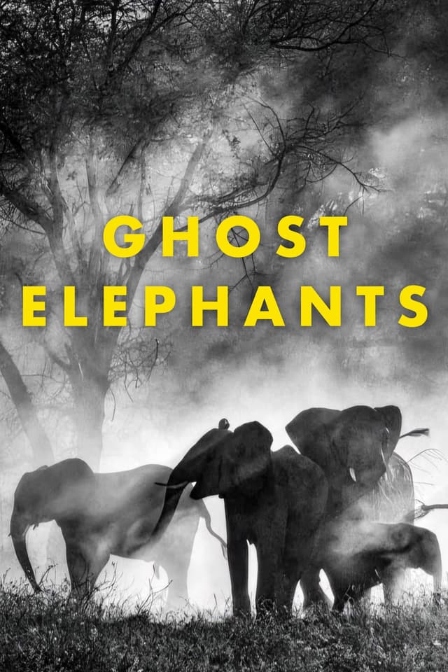 Ghost Elephants juliste