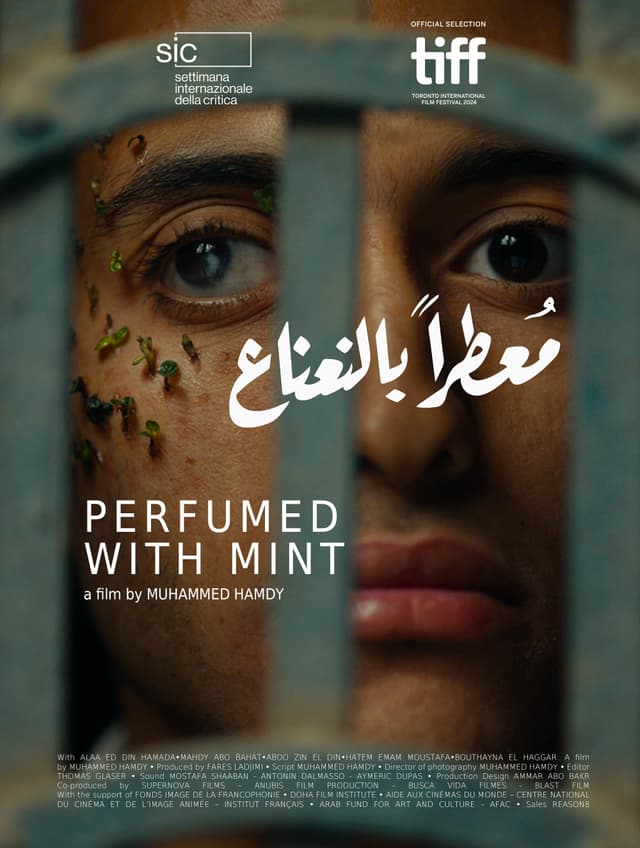 Perfumed with Mint juliste